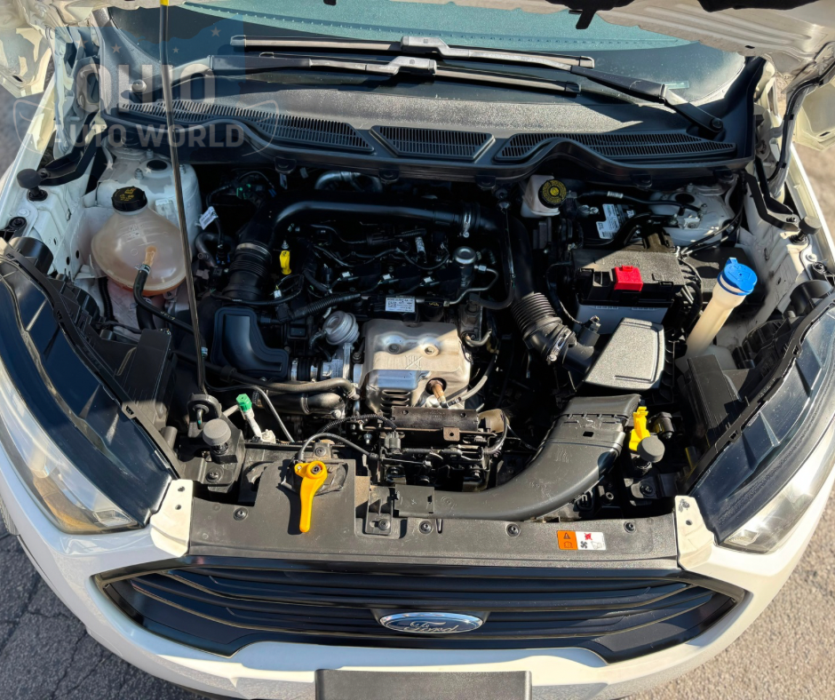 2020 Ford Ecosport  - photo 2